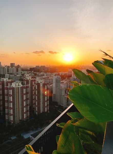 Alex Residences, , 1 Bedroom, 474 sqft, Apartment For Rent, by Shirley Toh, 25201770 - PropertyGuru.com.sg