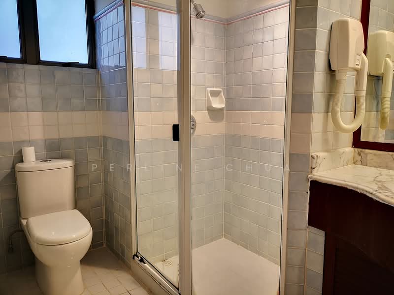 Cavenagh Lodge, 81 Cavenagh Road, 3 Bedrooms, 1,674 sqft, Apartment For Rent, by Perline Chua, 25205036 - PropertyGuru.com.sg