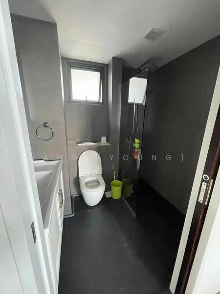 Pinnacle @ Duxton, 1D Cantonment Road, 3 Bedrooms, 1,151 sqft, HDB Flat For Rent, by Yang (Young) Li, 25209094 - PropertyGuru.com.sg