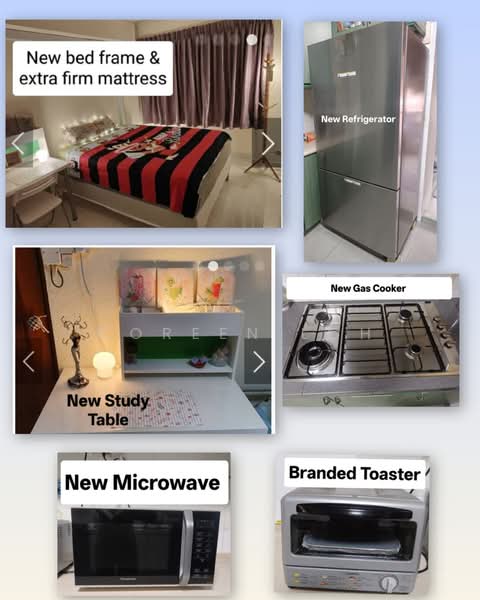 320 Tampines Street 33, 320 Tampines Street 33, Room Rental, 150 sqft, HDB Flat For Rent, by Coreen Loh, 25210526 - PropertyGuru.com.sg