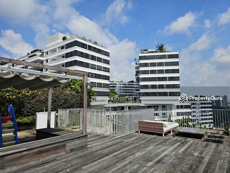 Roof Terrace