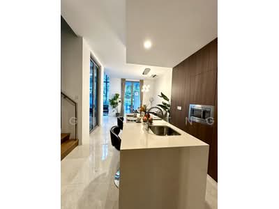 For Sale - Skies Miltonia