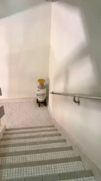 Sennett estate, semi-detached house for sale Semi-Detached House For Sale at S$ 6,100,000 | PropertyGuru Singapore