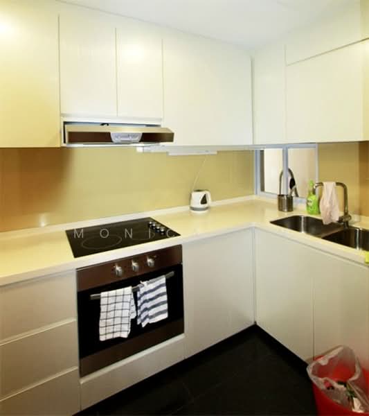River Place, 60 Havelock Road, 2 Bedrooms, 786 sqft, Condominium For Rent, by Monica Tan, 25225079 - PropertyGuru.com.sg
