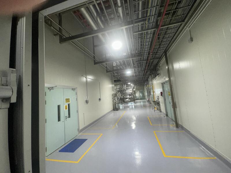 Senoko Sfa approve food / milk / beverages production factory, Senoko way, 30,000 sqft, Office For Rent, by Leow Kok Wee, 25228658 - CommercialGuru.com.sg