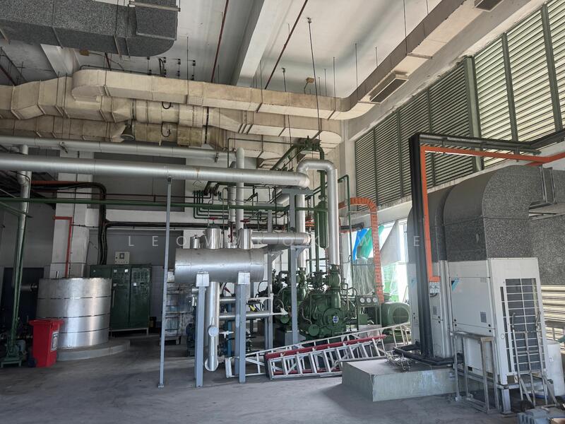 Senoko Sfa approve food / milk / beverages production factory, Senoko way, 30,000 sqft, Office For Rent, by Leow Kok Wee, 25228658 - CommercialGuru.com.sg