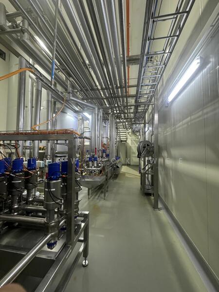 Senoko Sfa approve food / milk / beverages production factory, Senoko way, 30,000 sqft, Office For Rent, by Leow Kok Wee, 25228658 - CommercialGuru.com.sg
