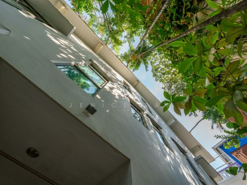 Elevated Luxury Living in Siglap Modern SemiDetached Home in a Serene