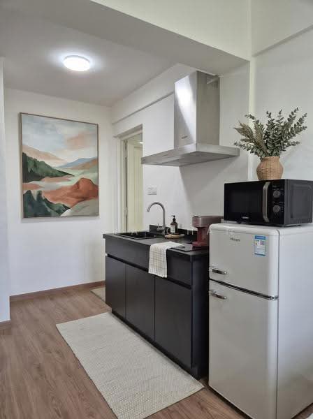 Evergreen Park, 31 Hougang Avenue 7, Hougang / Punggol / Sengkang, Studio, 190 sqft, Condominium For Rent, by Maya Chan, 25233900 - Kitchen - PropertyGuru.com.sg