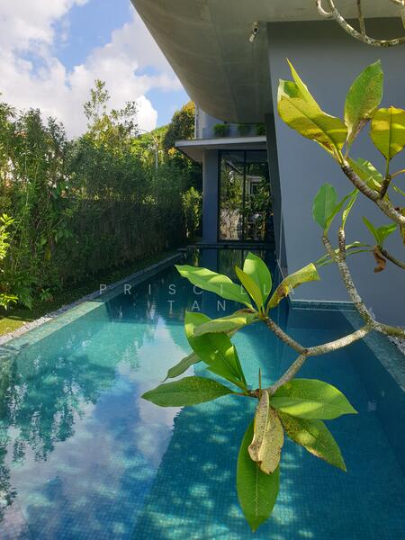 Jalan Naga Sari in Sixth Avenue vicinity, Jalan Naga Sari, 5 Bedrooms, 7,000 sqft, Semi-Detached House For Rent, by Priscilla Tan, 25249684 - PropertyGuru.com.sg