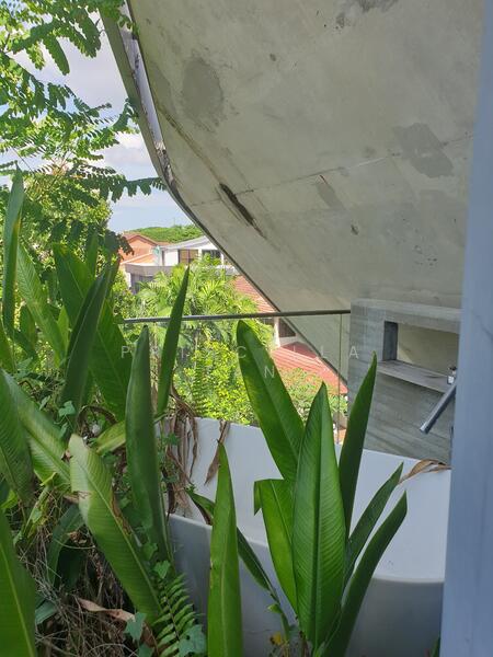 Jalan Naga Sari in Sixth Avenue vicinity, Jalan Naga Sari, 5 Bedrooms, 7,000 sqft, Semi-Detached House For Rent, by Priscilla Tan, 25249684 - PropertyGuru.com.sg