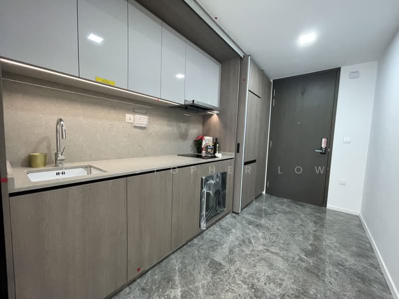 Avenue South Residence, 13 Silat Avenue, 1 Bedroom, 527 sqft, Condominium For Rent, by Christopher Low, 25253507 - PropertyGuru.com.sg