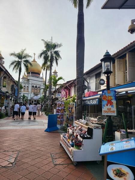 "High Footfall at Bussorah Street – Crowds of Tourists Visit Daily!", Bussorah Street, 1,315 sqft, Shop / Shophouse For Sale, by Desmiarti Desi, 25254844 - CommercialGuru.com.sg