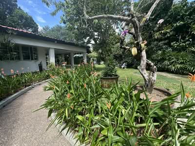 For Sale - Bukit Timah GCB Prime location