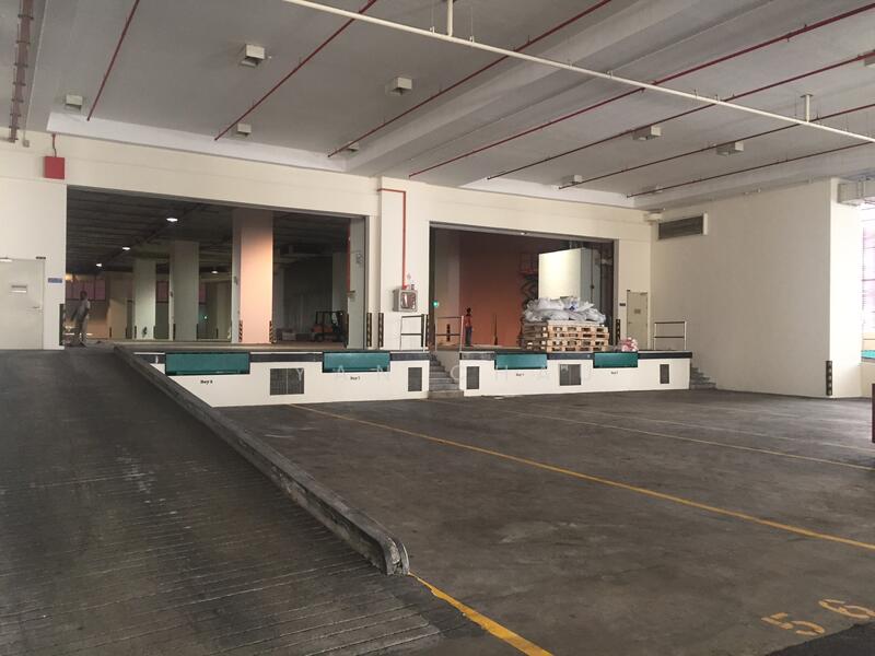 Khám Phá Thế Giới Thú Vị Của 7m - Chiều Cao Đầy Nghệ Thuật và Thể Thao