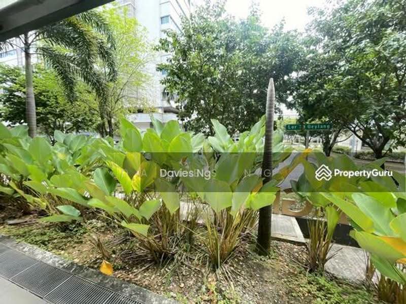 Agrow Building, 90 Lorong 23 Geylang, Eunos / Geylang / Paya Lebar, 2,464 sqft, Light Industrial (B1) For Rent, by Davies Ng, 25263649 - CommercialGuru.com.sg