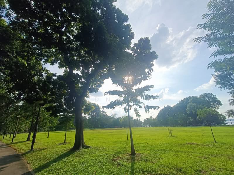 Ripple Bay, 6 Pasir Ris Link, 1 Bedroom, 484 sqft, Condominium For Rent, by Lyndnn Png, 25266257 - PropertyGuru.com.sg