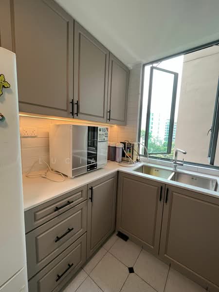 Springdale Condo, 47 Hindhede Walk, 3 Bedrooms, 1,345 sqft, Condominium For Rent, by Lucia Jacky, 25269063 - PropertyGuru.com.sg