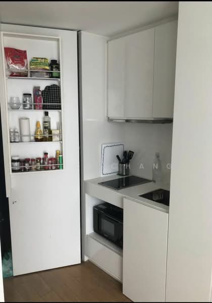 Skysuites @ Anson, 8 Enggor Street, 1 Bedroom, 366 sqft, Condominium For Rent, by Chloe Chang, 25274469 - PropertyGuru.com.sg