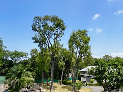 For Sale - Tanglin Hill vicinity hilltop land