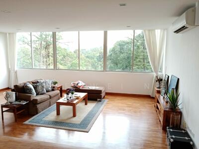 For Rent - Nassim Road Condo ☎️ 8321.8433