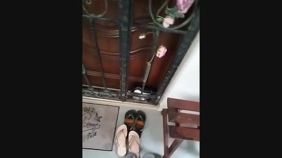 44 Chai Chee Street, 44 Chai Chee Street, Bedok / Upper East Coast, 2 Bedrooms, 730 sqft, HDB Flat For Rent, by Ziana J, 25280210 - PropertyGuru.com.sg