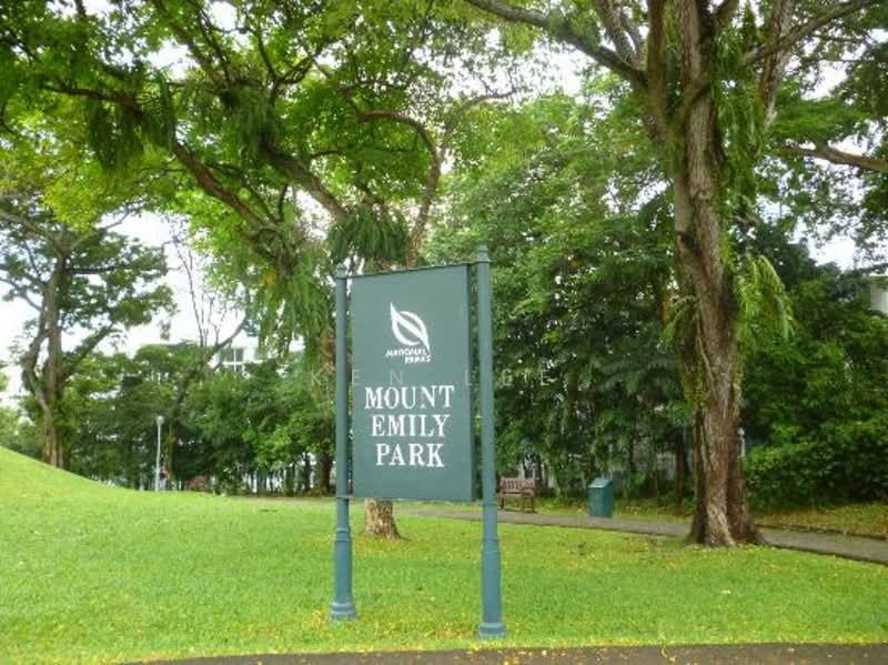 Parc Emily, 7 Mount Emily Road, 2 Bedrooms, 1,001 sqft, Condominium For Rent, by Ken Lee, 25281373 - PropertyGuru.com.sg