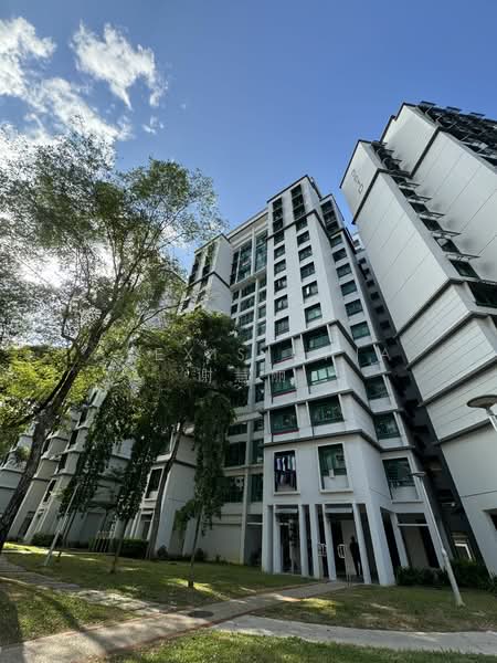 351D Canberra Road, 351D Canberra Road, Room Rental, 150 sqft, HDB Flat For Rent, by Alexis Chia 谢慧丽, 25282081 - PropertyGuru.com.sg