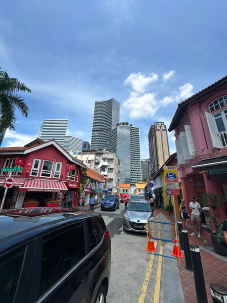 Arab Street, Haji Lane, Bussorah Street, Arab Street, Haji Lane, Bussorah Street, Beach Road / Bugis / Rochor, 2,500 sqft, Shop / Shophouse For Sale, by Eric Chua, 25283640 - CommercialGuru.com.sg