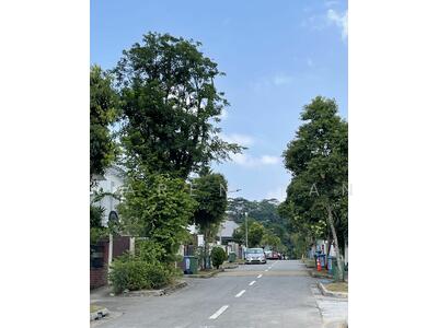 For Sale - Green Leaf View