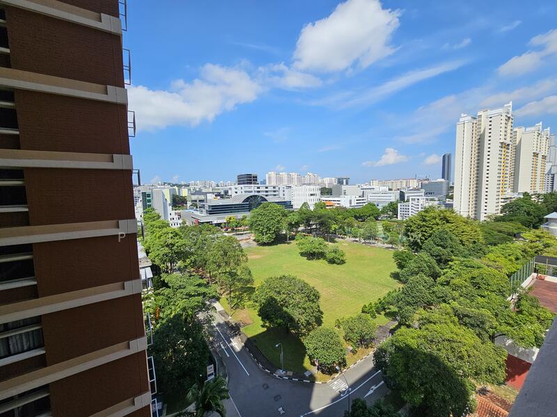 Not 1 but 2 views. This is the view from the living room