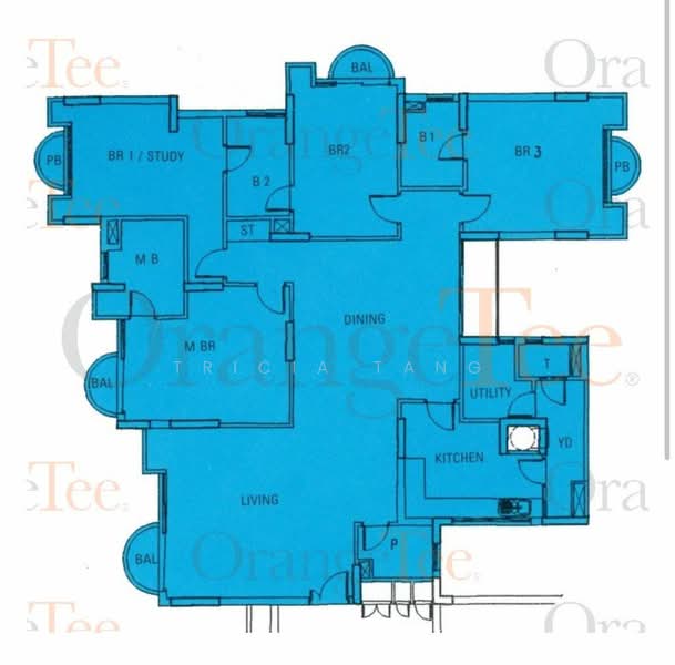Parbury Hill Condominium, 5 Parbury Avenue, 4 Bedrooms, 2,228 sqft, Condominium For Rent, by Tricia Tang, 25292020 - PropertyGuru.com.sg