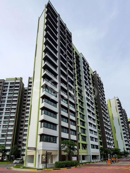 998B Buangkok Crescent, 998B Buangkok Crescent, Hougang / Punggol / Sengkang, 1 Bedroom, 388 sqft, HDB Flat For Rent, by Charlene Puah, 25300422 - PropertyGuru.com.sg
