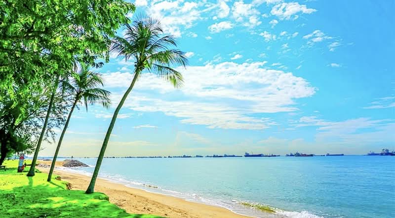 620 Bedok Reservoir Road, 620 Bedok Reservoir Road, 2 Bedrooms, 645 sqft, HDB Flat For Rent, by Eugene Chen, 25300928 - PropertyGuru.com.sg