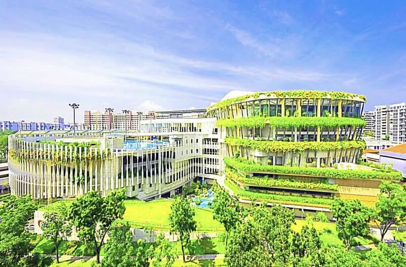 620 Bedok Reservoir Road, 620 Bedok Reservoir Road, 2 Bedrooms, 645 sqft, HDB Flat For Rent, by Eugene Chen, 25300928 - PropertyGuru.com.sg