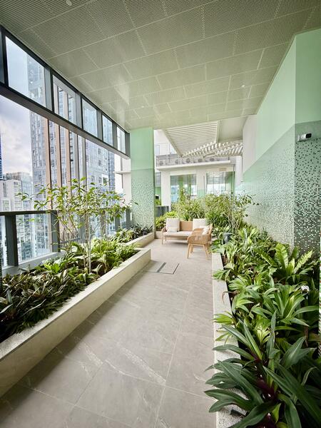 Lush in Sky Garden