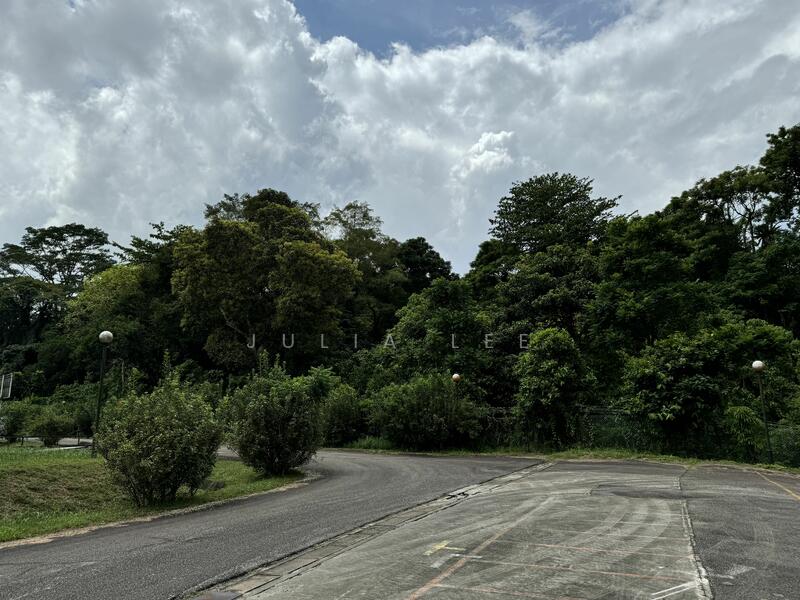 Upper bukit timah road, Clementi Park / Upper Bukit Timah, 440 sqft, Other Retail For Rent, by Julia Lee, 25306157 - CommercialGuru.com.sg