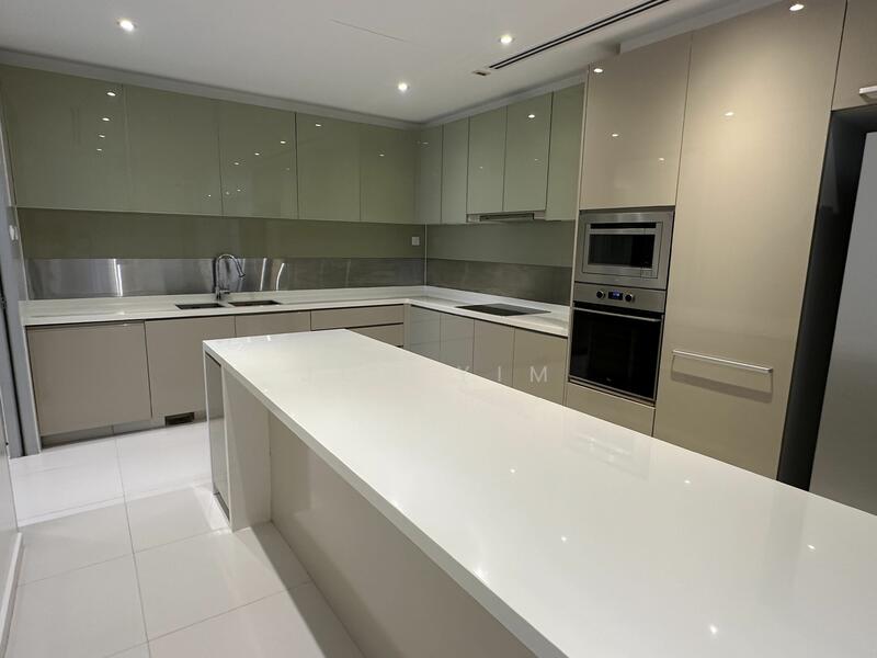 Island counter with modern fittings