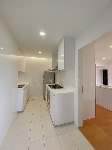 Nassim Regency, 37 Nassim Road, 3 Bedrooms, 2,056 sqft, Apartment For Rent, by Seah Wan Peng (Gilda), 25306471 - PropertyGuru.com.sg