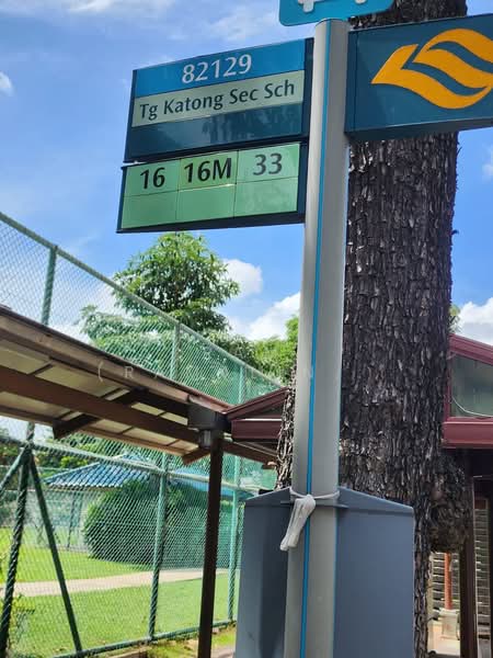 Dunman Grove, Dunman Road, Room Rental, 180 sqft, Semi-Detached House For Rent, by Ram (Ramalingam), 25307889 - PropertyGuru.com.sg