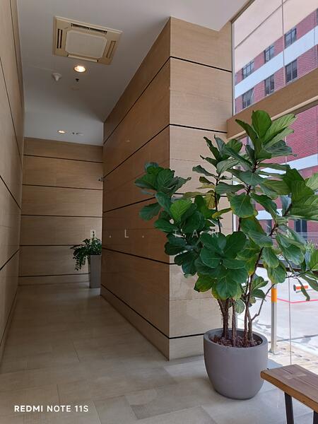 Meissa, 100D Pasir Panjang Road, 969 sqft, Office For Rent, by B.L. Tan, 25312932 - CommercialGuru.com.sg