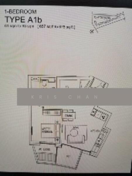 For Sale Corals at Keppel Bay