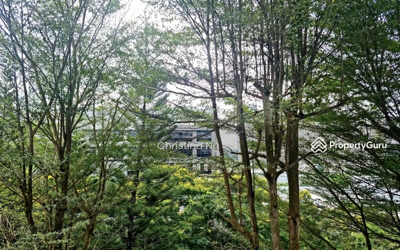 For Sale - 37 Jalan Rumah Tinggi