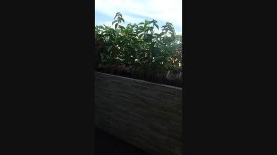 Seletar Springs Condominium, 106 Gerald Drive, Seletar / Yio Chu Kang, 4 Bedrooms, 2,239 sqft, Condominium For Rent, by Jolene Chiang, 25317576 - PropertyGuru.com.sg