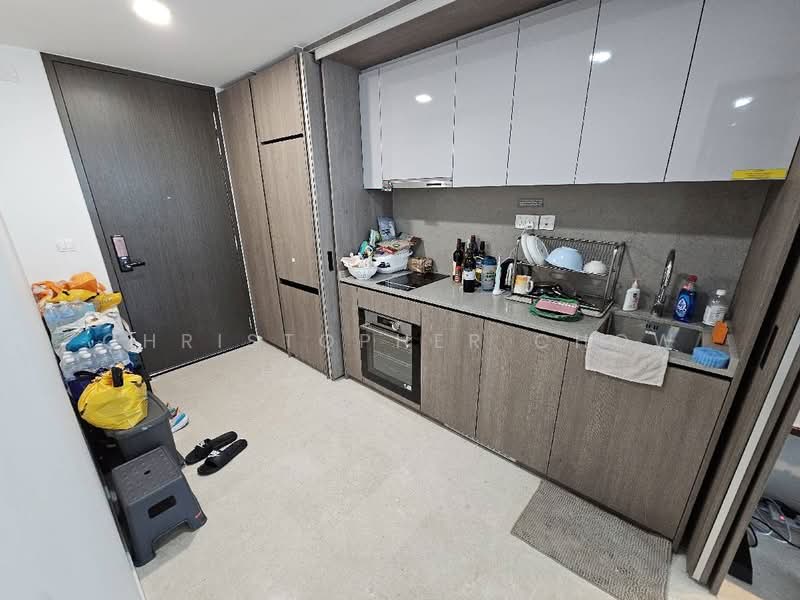 Avenue South Residence, 11 Silat Avenue, 1 Bedroom, 527 sqft, Condominium For Rent, by Christopher Chow, 25319801 - PropertyGuru.com.sg