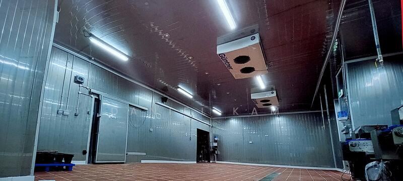 ⭐️📞Aircon Warehouse Cold Room 2k-600ksqf Rent, Rent Warehouse 2k-600ksqf+ Rampup📞9 38 24 00 0, 100,000 sqft, Warehouse For Rent, by Daniel Kam 甘囯財, 25324045 - CommercialGuru.com.sg