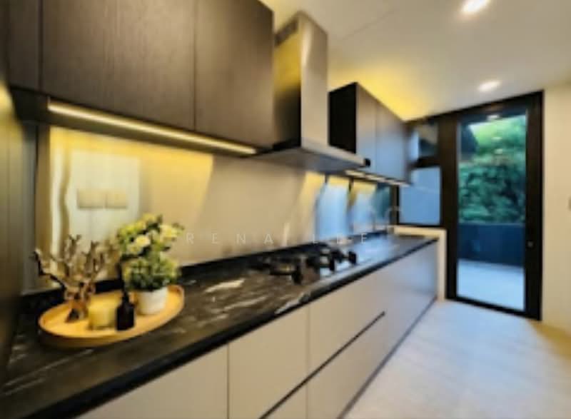 ❤️BRAND NEW MODERN LUXURY SD @ NASSIM VINCINITY ☎️91916668 RENA Semi-Detached House For Sale at S$ 14,380,000 | PropertyGuru Singapore