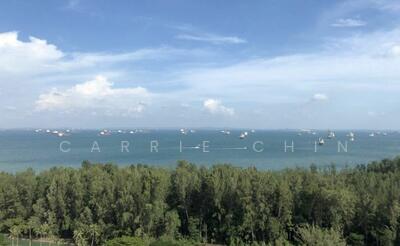 For Sale - MEYER BLUE