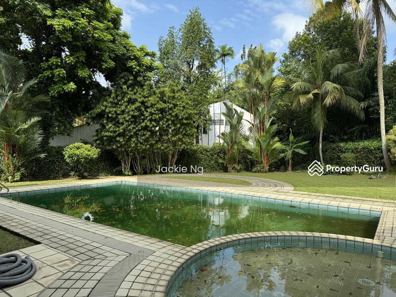 For Sale - Nassim/Dalvey