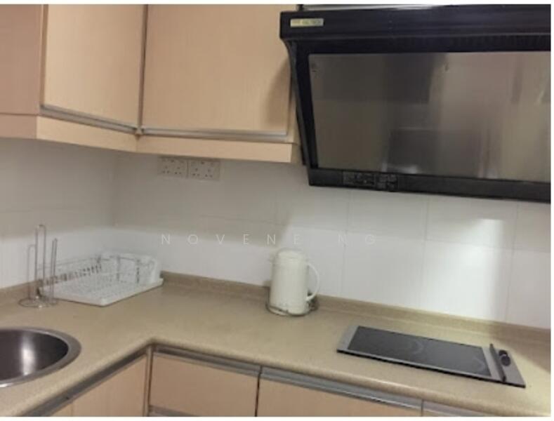 International Plaza, 10 Anson Road, 1 Bedroom, 431 sqft, Apartment For Rent, by Novene Ng, 25330580 - PropertyGuru.com.sg